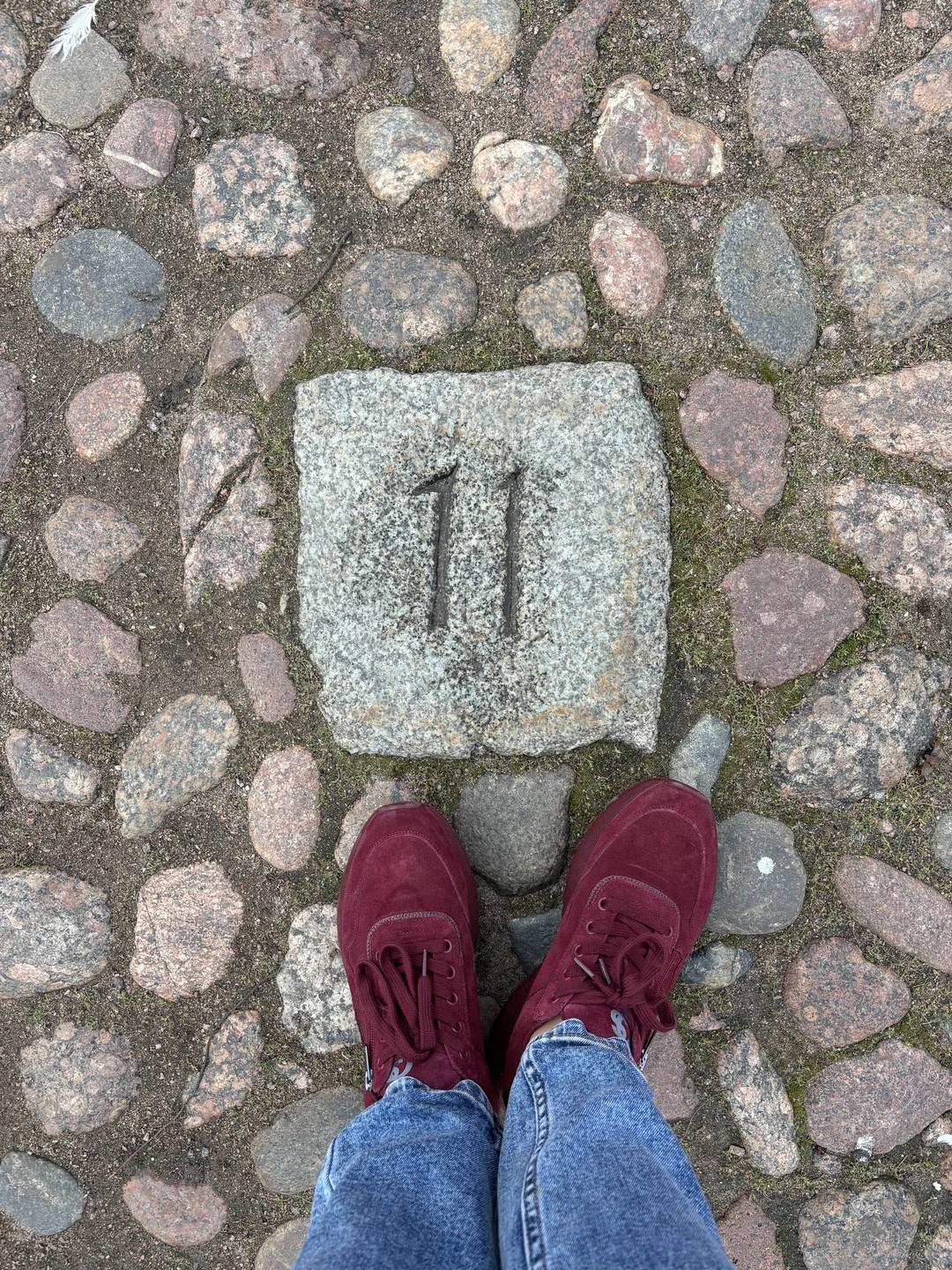 О Выборге - увлекательно и с душой (Анастасия)