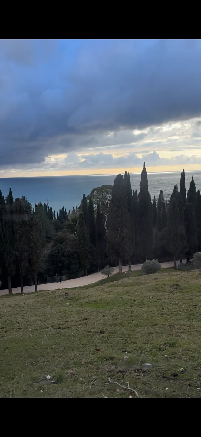 Абхазия с открытки - из Сочи и Адлера (Юлия)