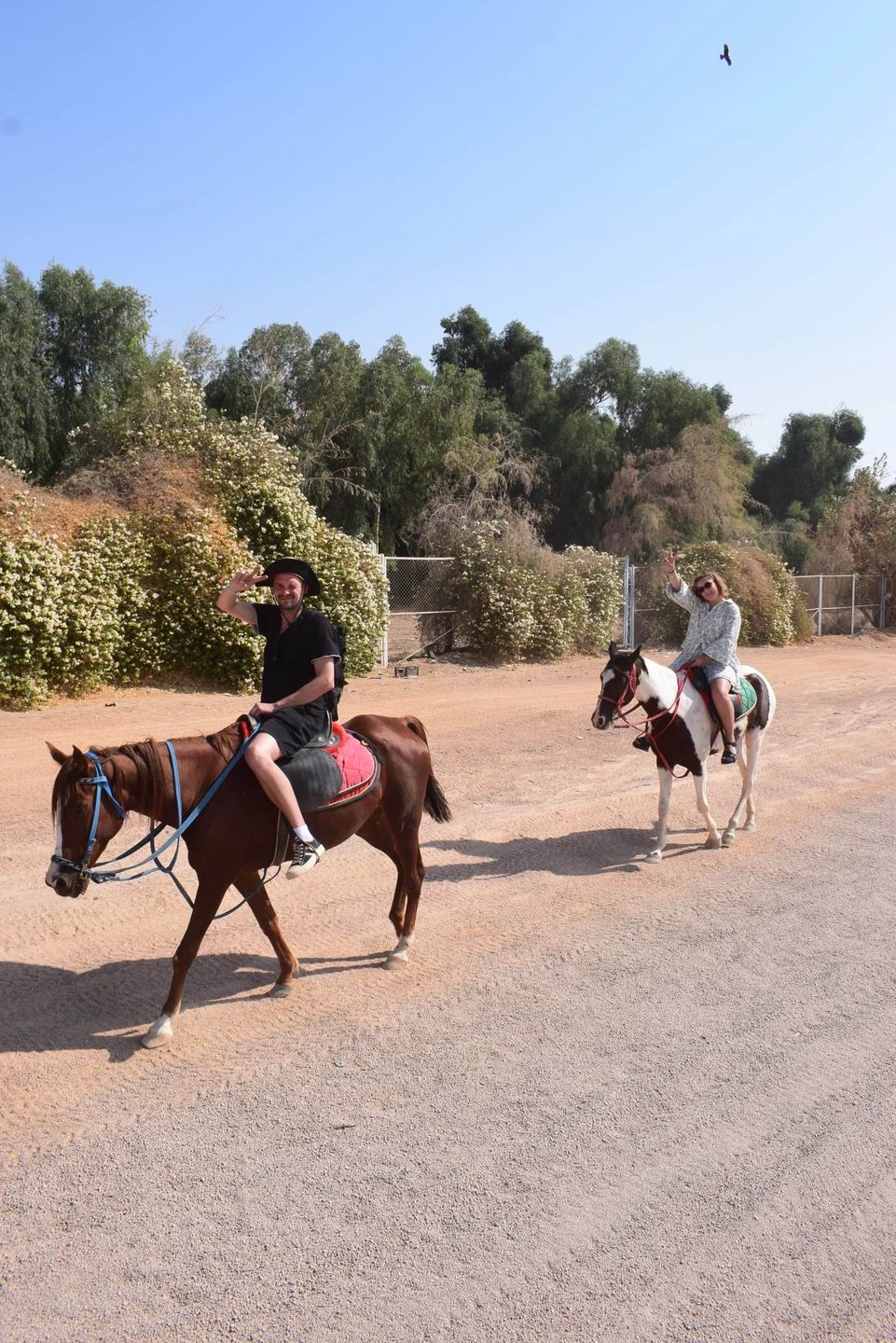 Отлично провели время, лошади все ухоженные, красивые, послушные. Фотографии нам сделали профессиональные, очень креативные. Сопровождал нас
