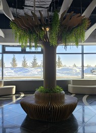 Фото отзыва 3: экскурсия "Свияжск и Иннополис: история и современность"