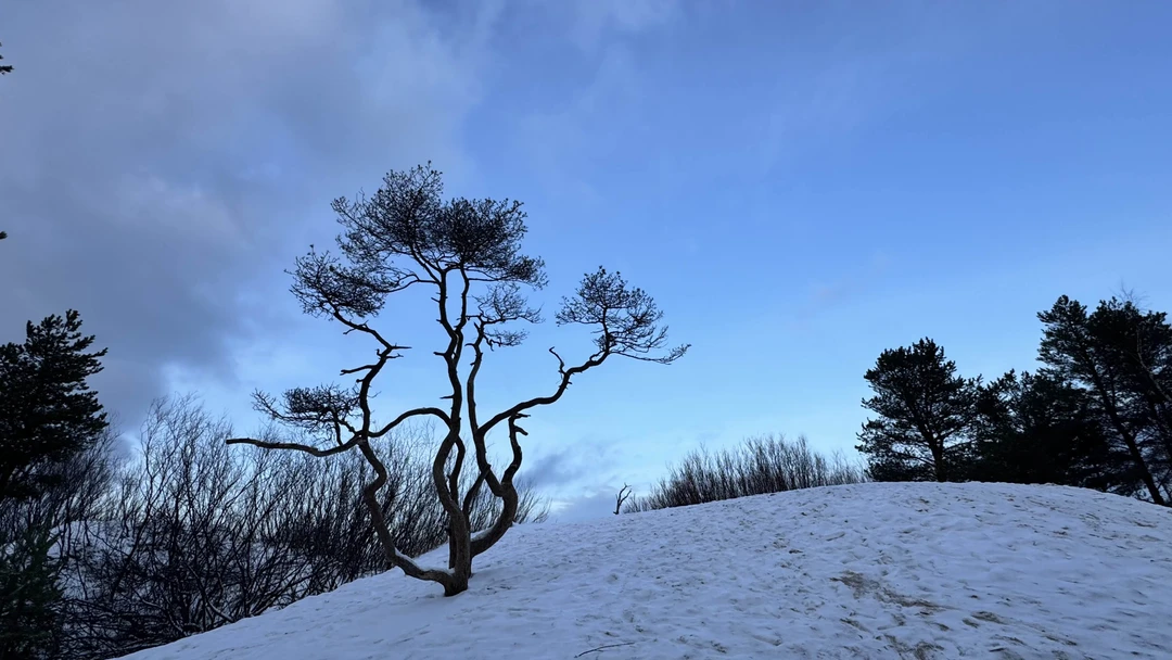 Сергею огромное спасибо за интересную экскурсию в Северодвинск, на остров Ягры и на побережье Белого моря