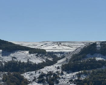 Первая прогулка