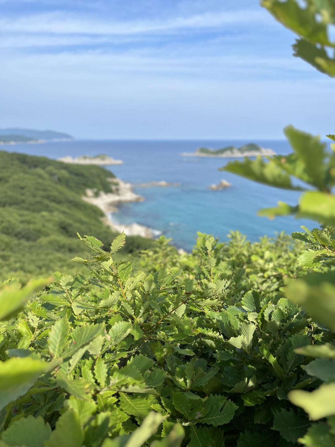 Прекрасная экскурсия.