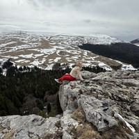 reviews img