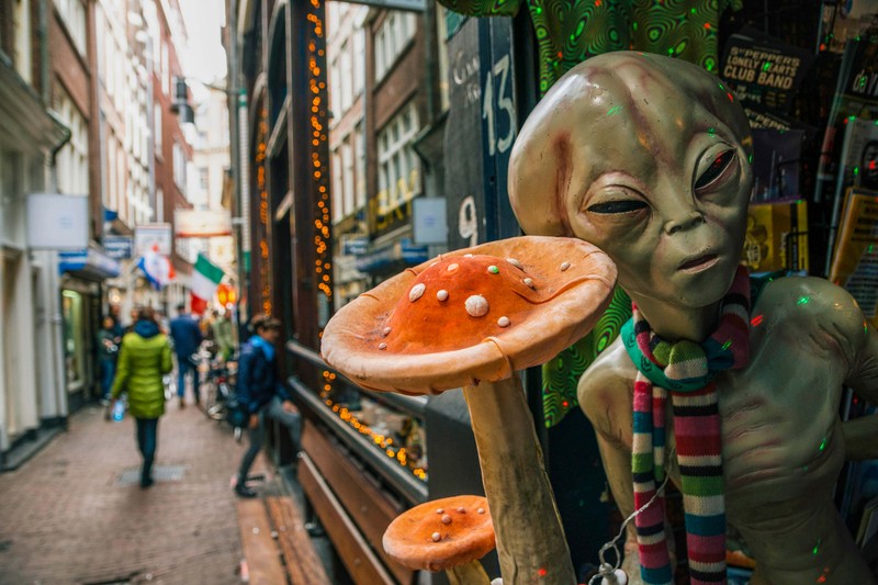 Фото к экскурсии Амстердам без цензуры: аудиогид