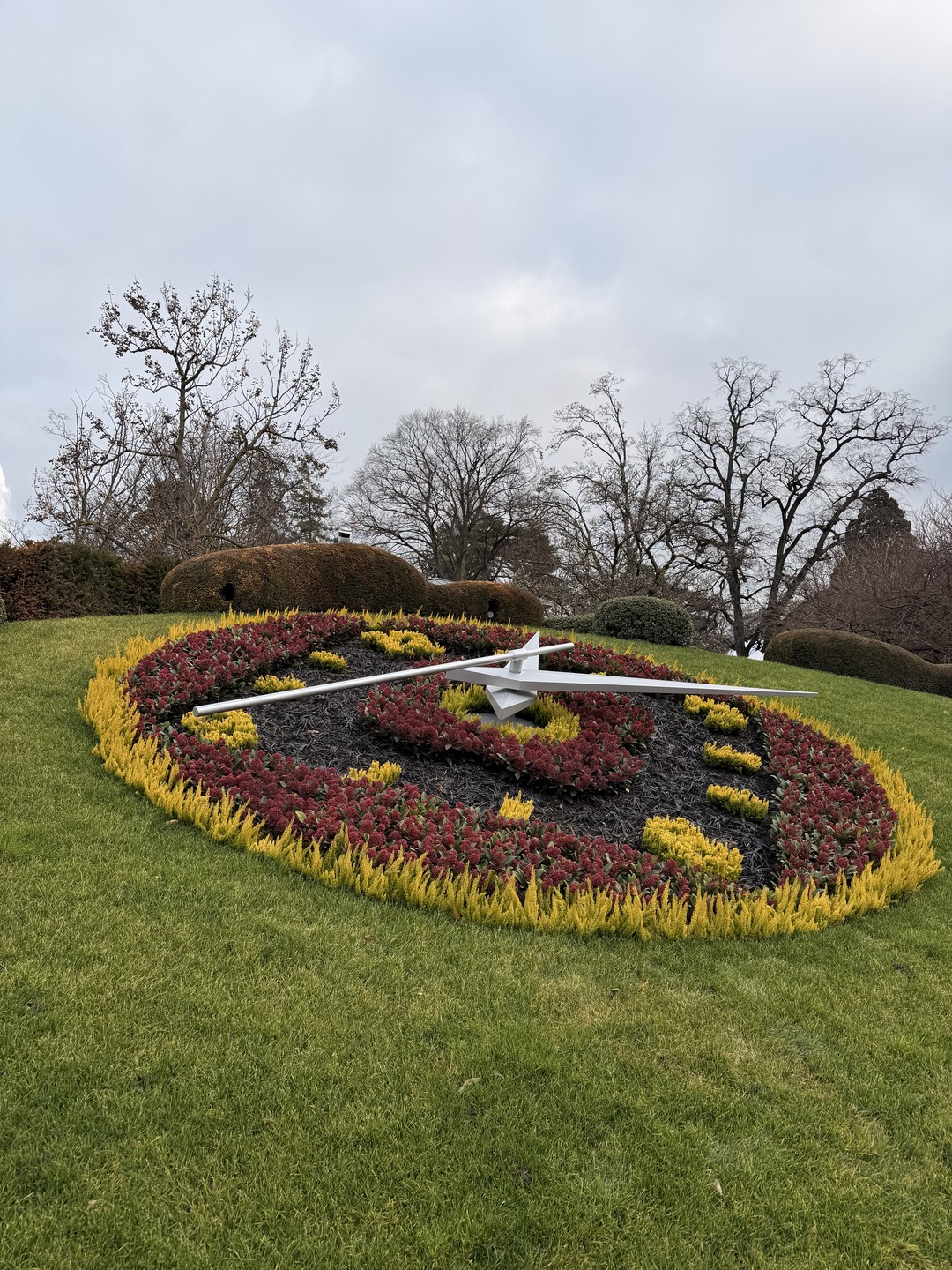 Добрый день! Благодарим Дарью за увлекательную, интересную, познавательную экскурсию по Женеве. Дарье удалось за короткое время
