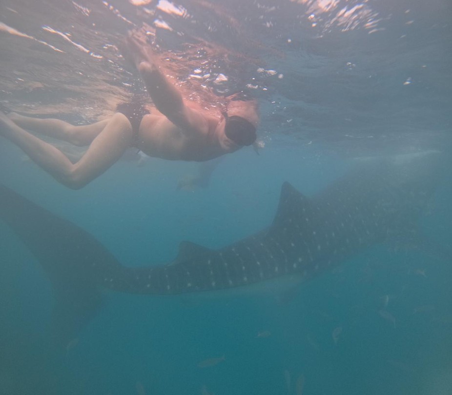 Бохол: волшебство природы (Иван)