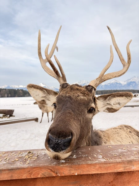 Экскурсию выбирали за несколько месяцев, почитав отзывы поняли, что надо бронировать и не прогадали!