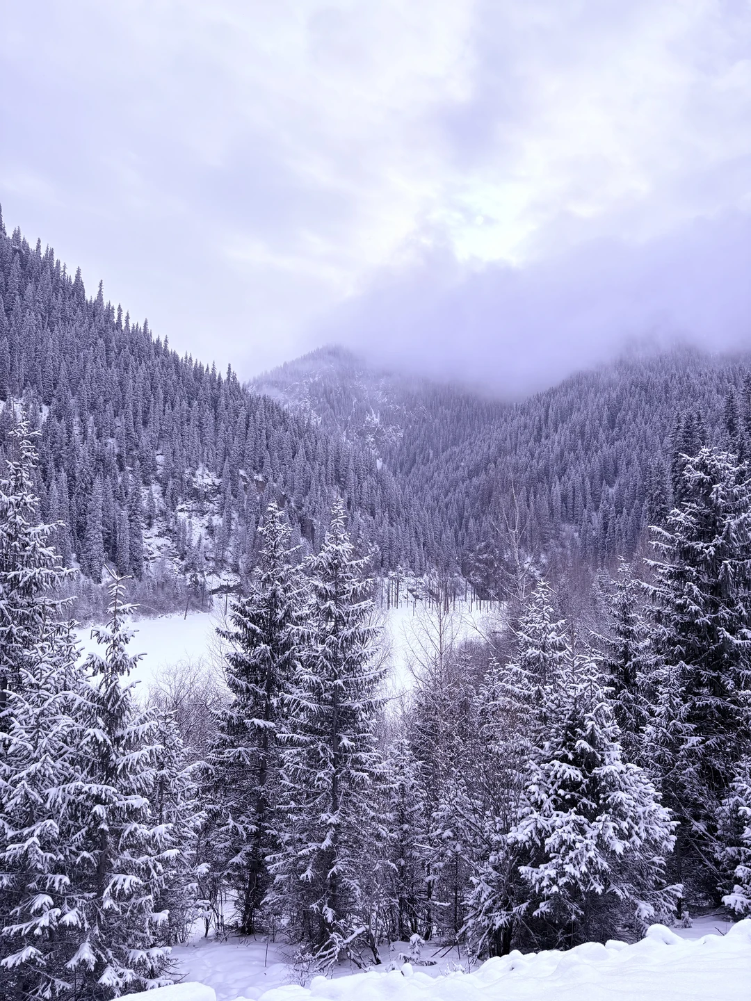 Отличная экскурсия. Огромное спасибо Дмитрию, очень познавательно и интересно. Просто влюбилась в Казахстан. Места настолько живописные