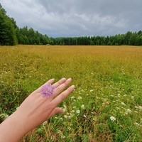 Фото отзыва 2: экскурсия "Волшебный день в природном парке «Оленьи ручьи»"