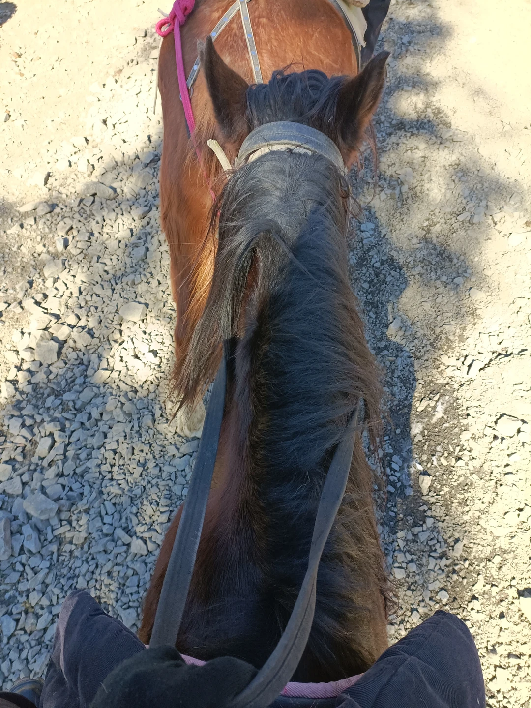 Очень понравилась экскурсия!