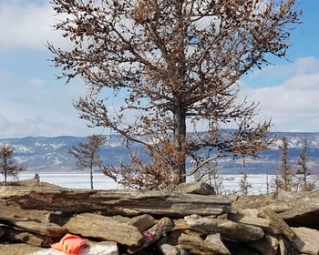 День отдыха