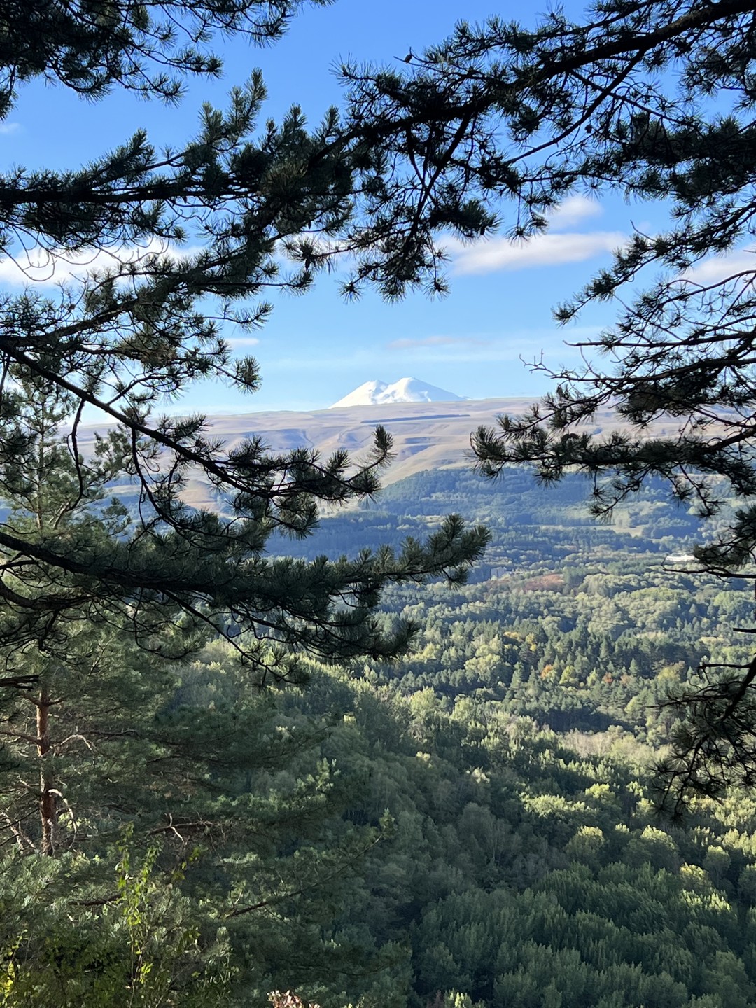 Замечательная бодрая прогулка с невероятной Верой, умницей Нильсом и видами на белоснежный красавец Эльбрус. Очень рекомендую