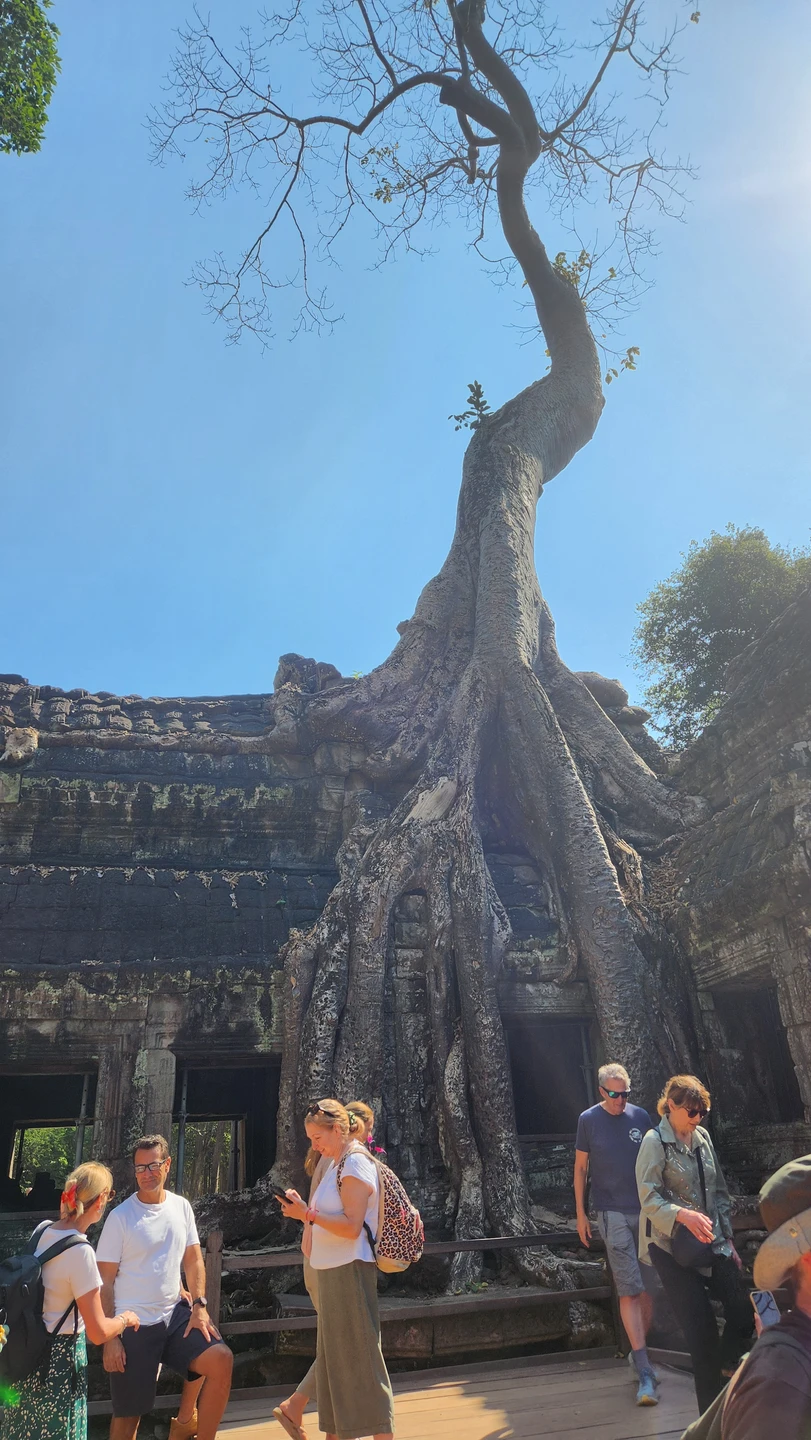 Огромное спасибо организаторам и гиду за замечательную экскурсию!