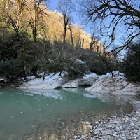 Фото отзыва 1: экскурсия "Нетуристический Сочи: индивидуальная экскурсия к природным красотам"