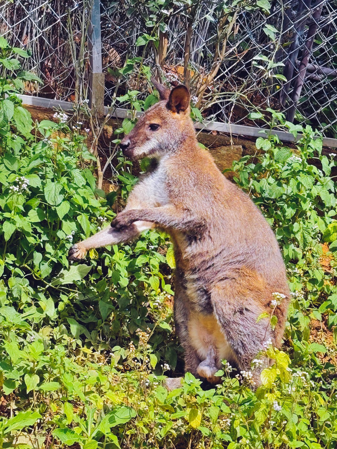 Групповая экскурсия из Нячанга в Далат (Екатерина)