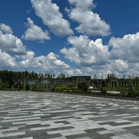 reviews img