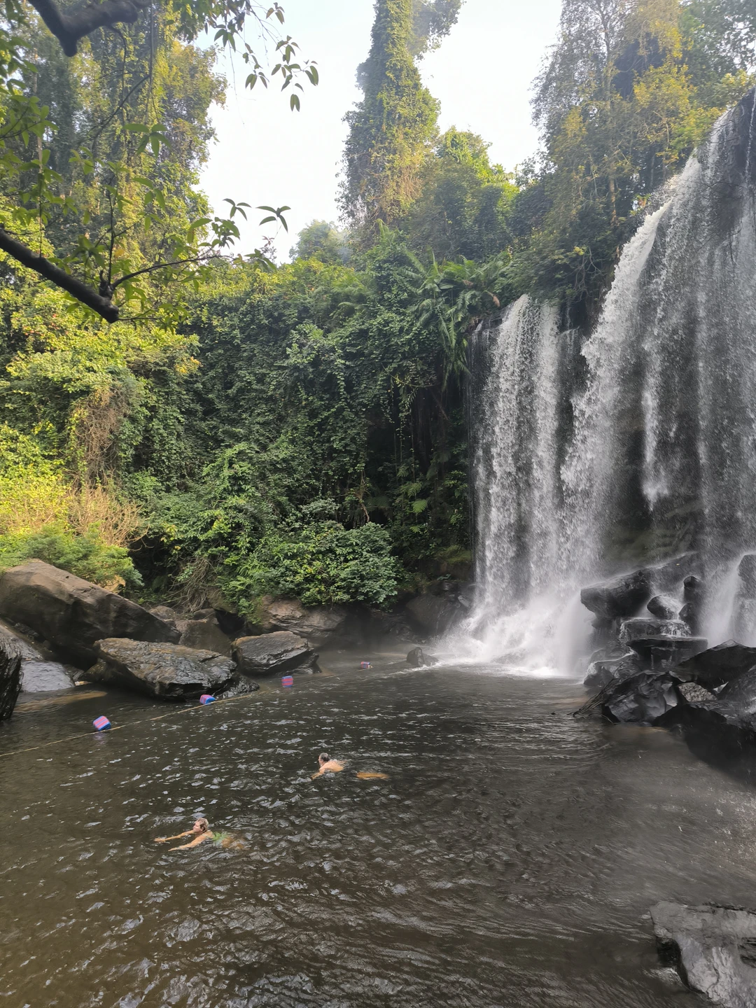 Великолепный гид! Одн из лучших в моем опыте (а опыт достаточно большой). Компетентность, глубина знаний в