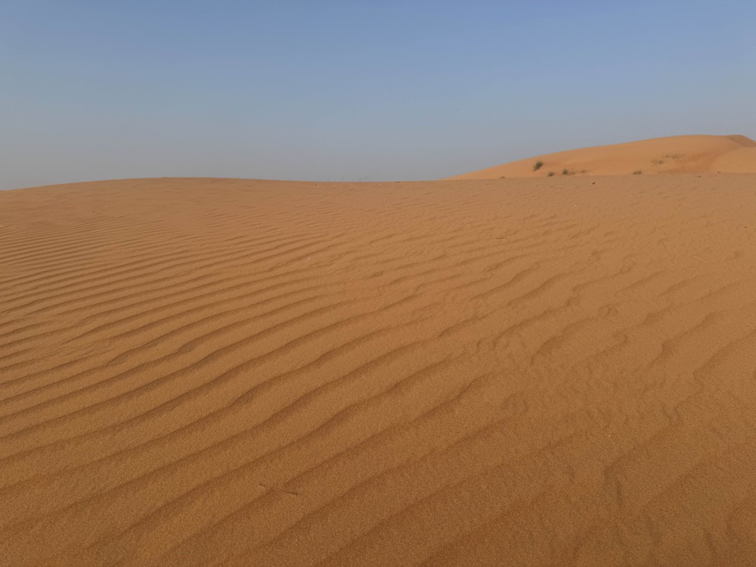 Интересная экскурсия, замечательный гид Андрей, шикарные локации, всё понравилось!
