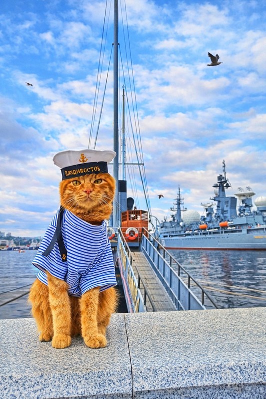 Обзорная экскурсия по Владивостоку: на автобусе и пешком