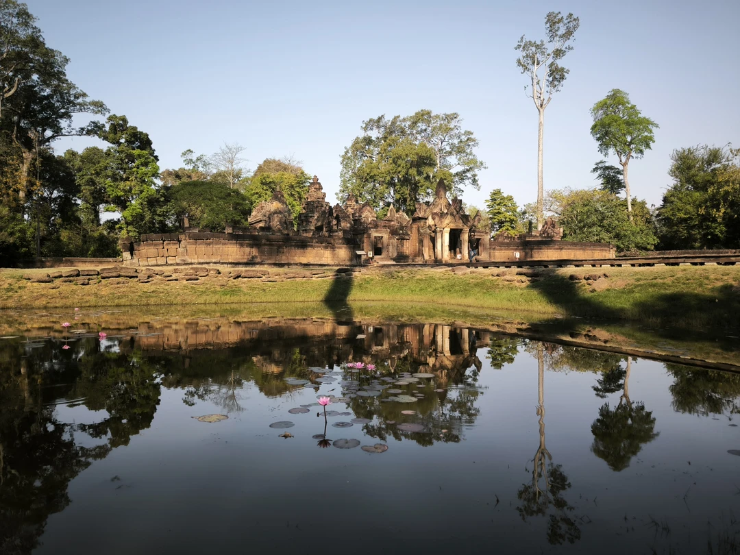Великолепный гид! Одн из лучших в моем опыте (а опыт достаточно большой). Компетентность, глубина знаний в