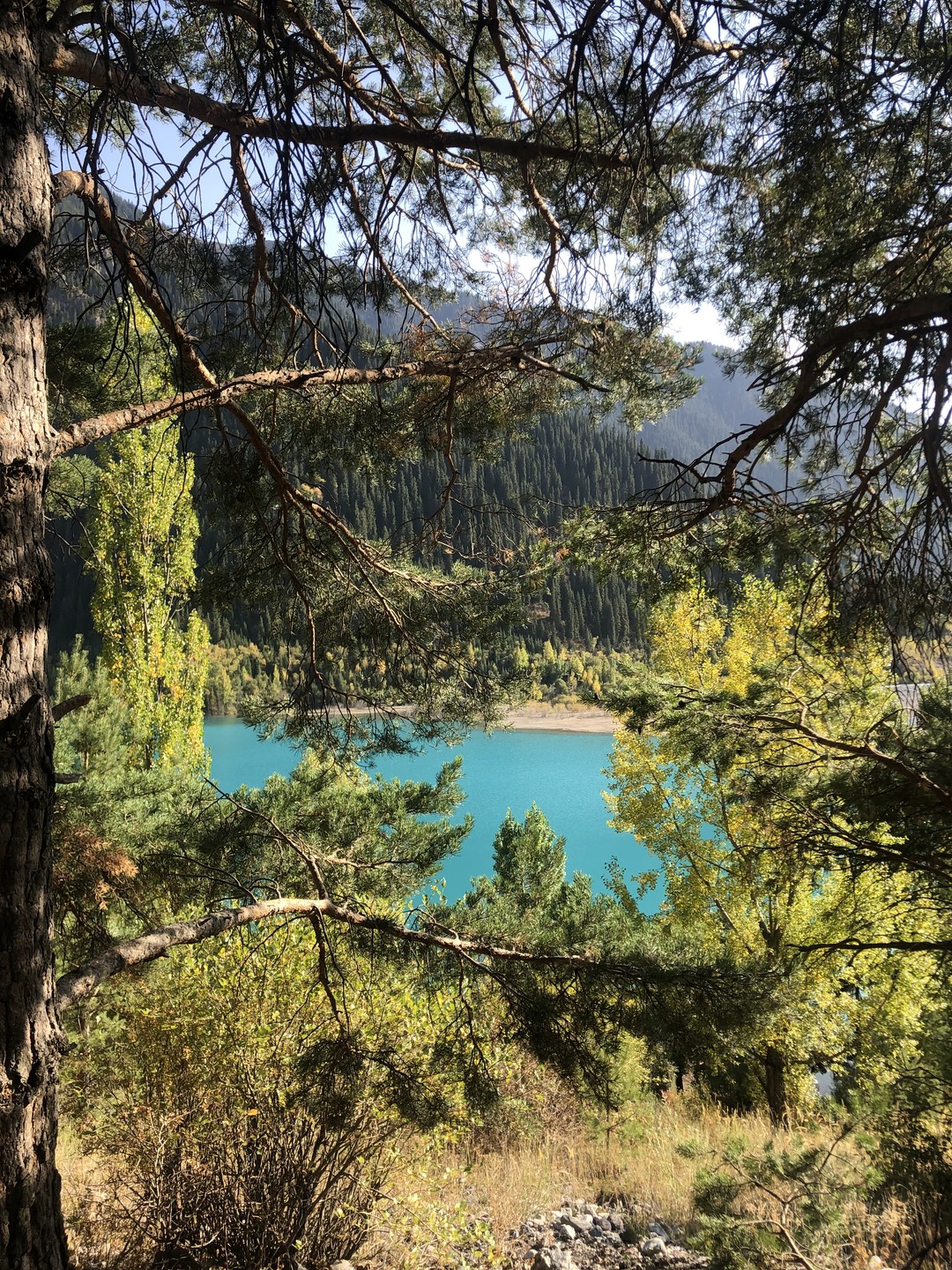 Спасибо Динаре за такой активный и чудесный день: история, природа - мы узнали много интересного! Грамотно составленный маршрут очень понравился