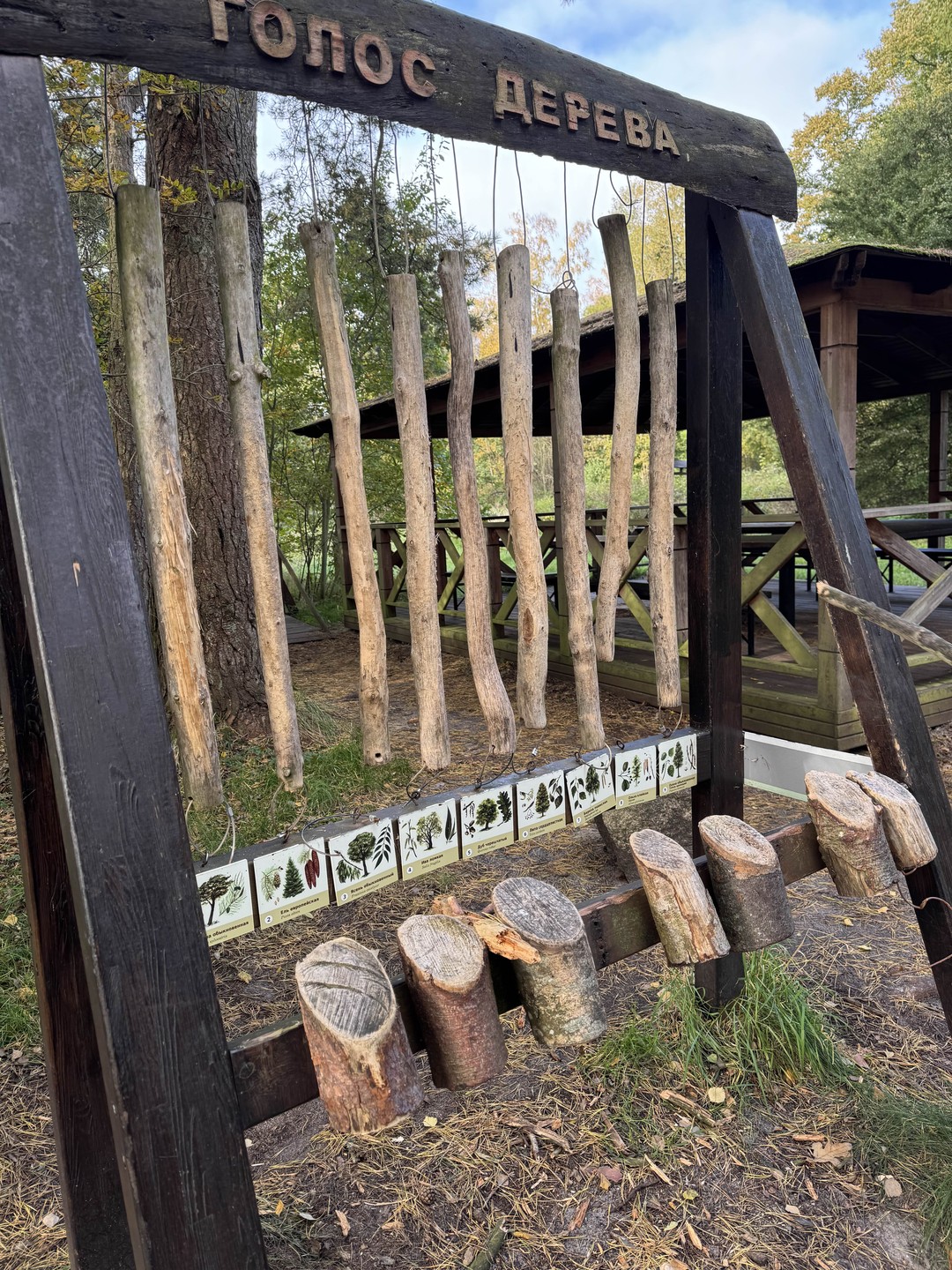 Прекрасная экскурсия. Все четко организовано. Интересный рассказ об истории и природе края с дополнительными иллюстрациями. Забота