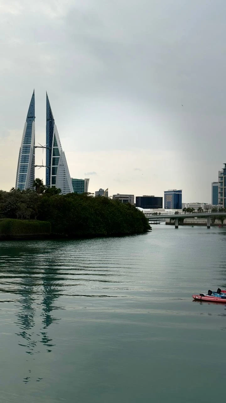 Хотим выразить огромную благодарность за прекрасную экскурсию по Бахрейну во время нашей круизной остановки. Все было