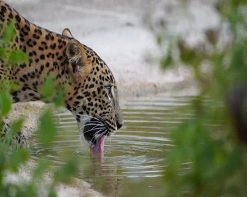Водопад Равана, джип-сафари, прощальный ужин