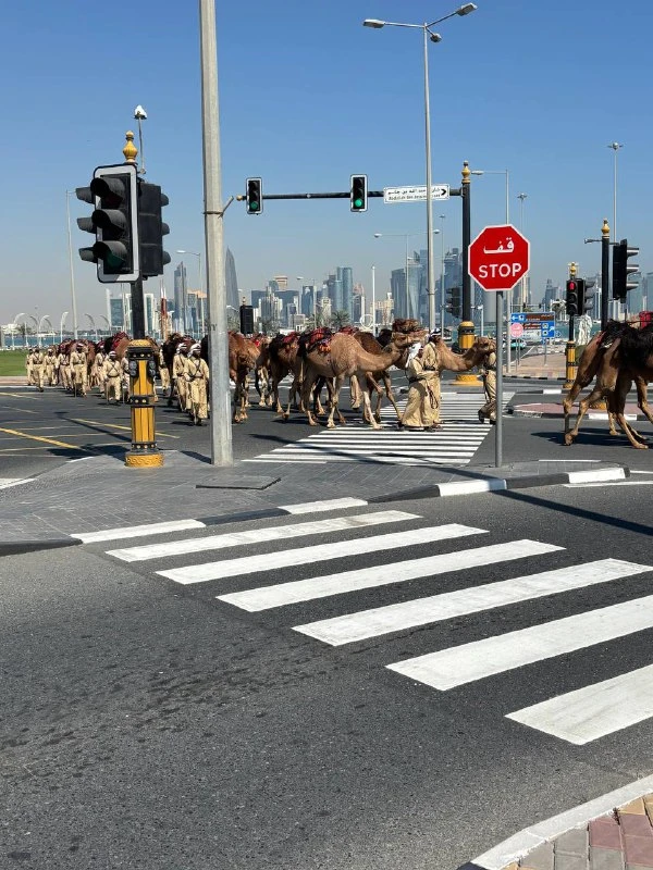 Огромное спасибо нашему гиду на индивидуальной экскурсии Марии