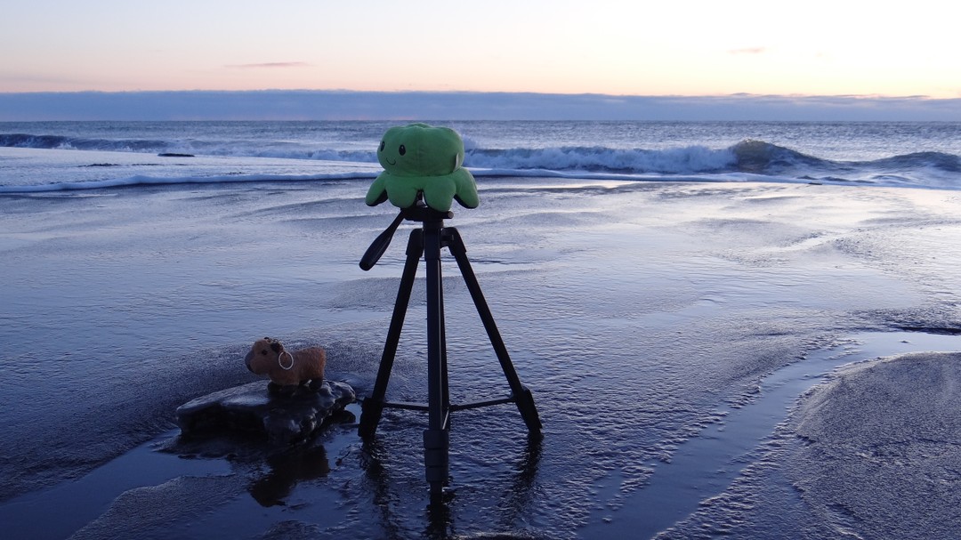 Отличная экскурсия! Встретили первый рассвет в новом году на берегу Тихого)