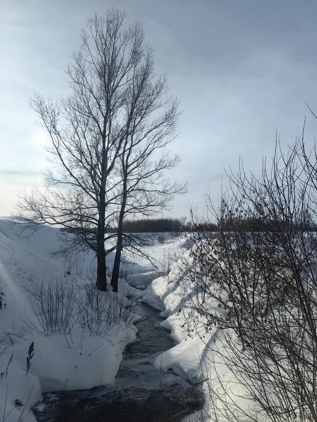 Организация прекрасна. Ольга прекрасный разказчик. Маршрут удобный, пешая часть не сложная. Отличным дополнением был обед в
