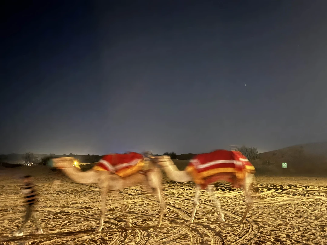 В пустыню! Джип-сафари и вечер в деревне бедуинов (Роман)