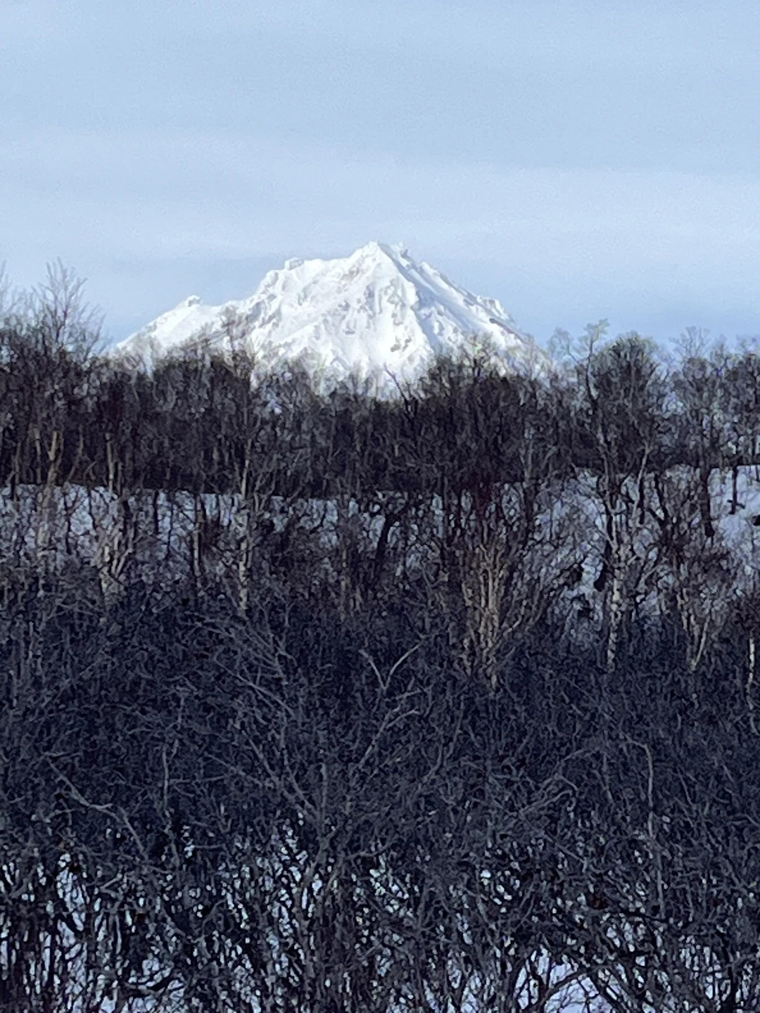 Образованный многосторонне и внимательный к экскурсантам Сергей сумел сделать наше путешествие содержательным и запоминающимся. Большое спасибо!