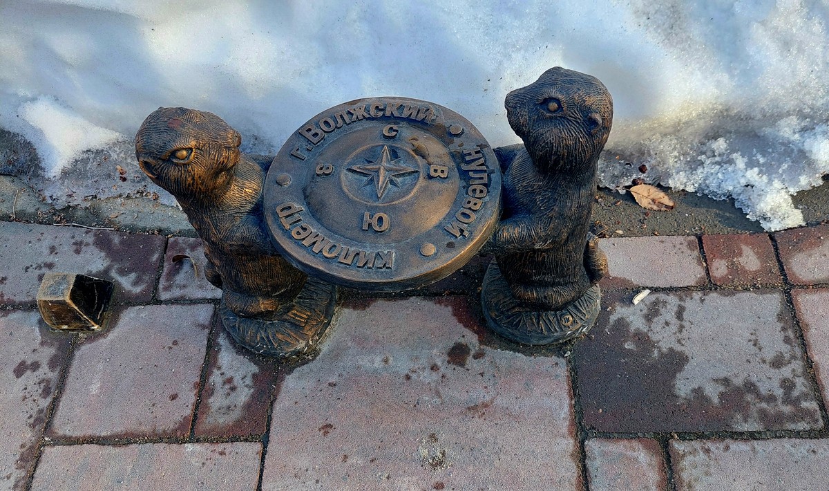 Волжский: фотоохота на сусликов (11/15)