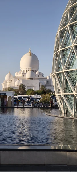 Всё понравилось, Абу-Даби намного интересней чем Дубай