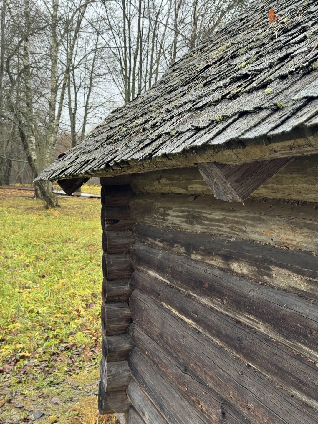 Хорошая экскурсия, но как-то суховато что ли и слишком все быстро. В Витославлицах было мало времени