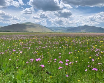 Переезд на Ольхон: Долина каменных духов, паромная переправа и прогулка к мысу Бурхан