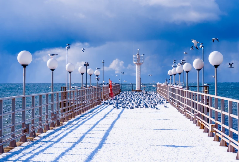 Большой тур по Сочи: природа, архитектура, история