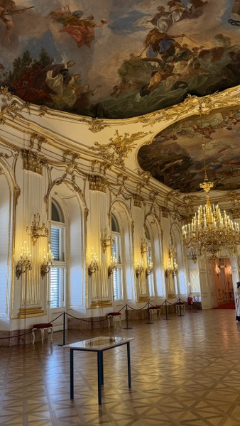 Мы посетили Шенбрунн в сопровождении Елены, и это было лучшим решением! Елена прекрасный экскурсовод, очень интресно