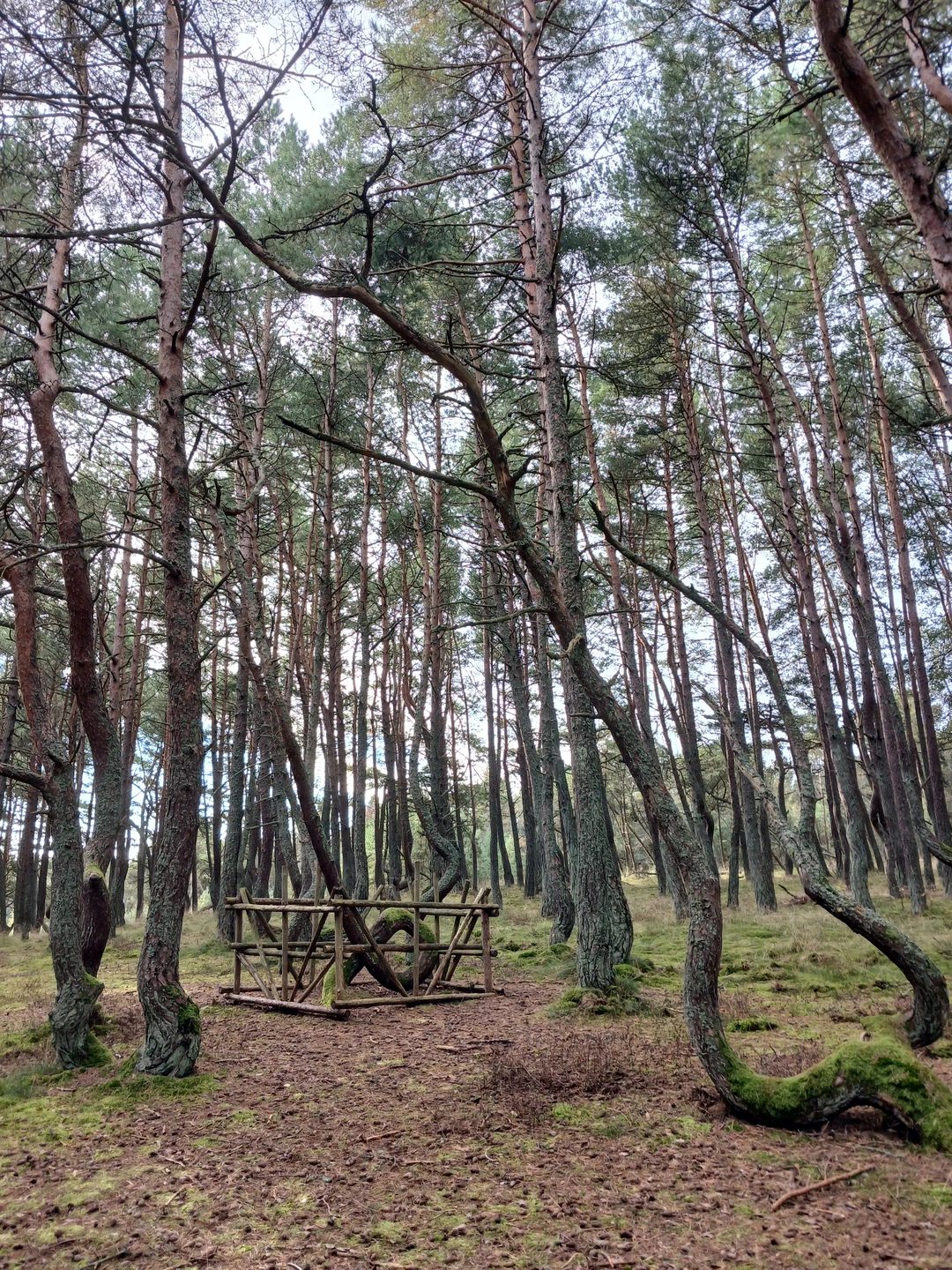 Топ-места Куршской косы (Оксана)