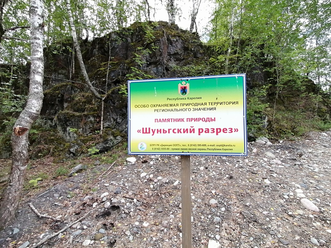 Спасибо огромное Александру!!! Очень много нового открыли для себя из его рассказов про его родной город