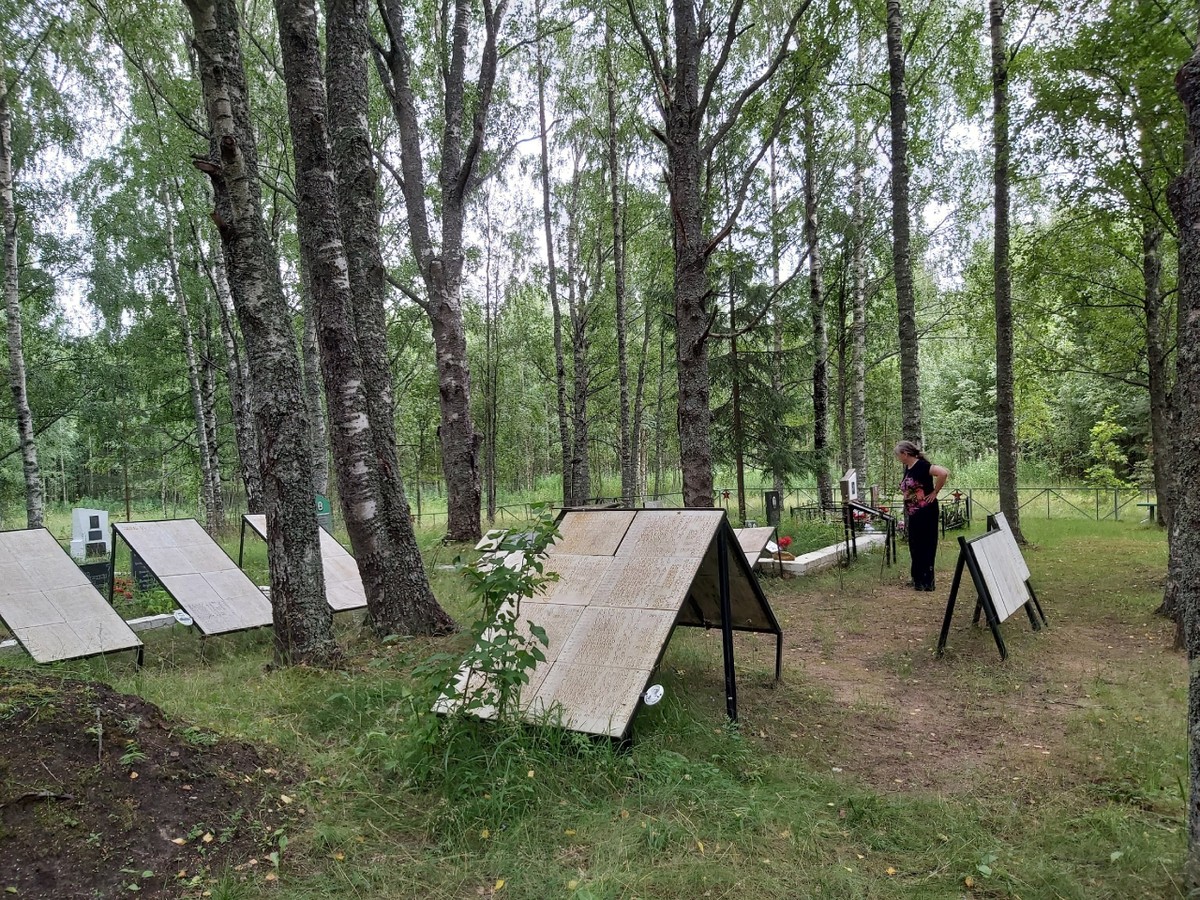 По Аракчеевской дороге: неизвестная новгородская история (на вашем авто) (8/17)