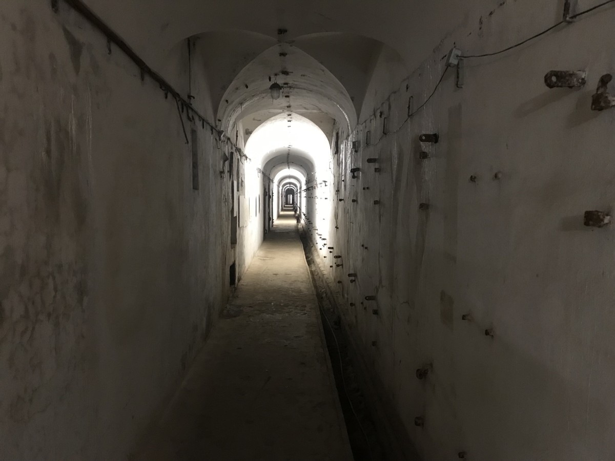 Прогулка-исследование форта «Риф» и острова Котлин (6/12)