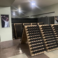 Фото отзыва 1: экскурсия "«Мысхако» + «Шато Пино»"