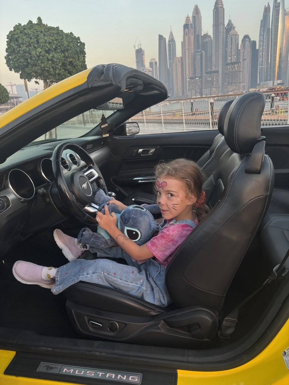 Панорамы Дубая: экскурсия на кабриолете (Роман)