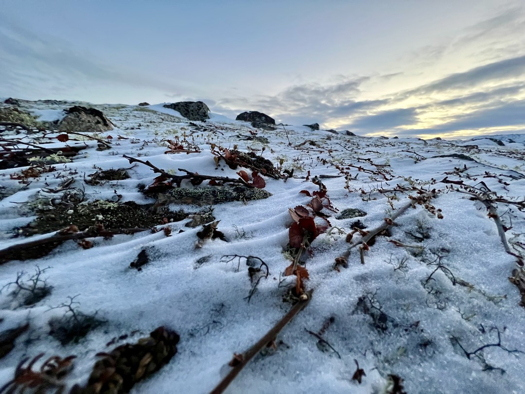 Та самая экскурсия, что превосходит все ожидания! В первую очередь, благодаря гиду Юрию! С момента оформления