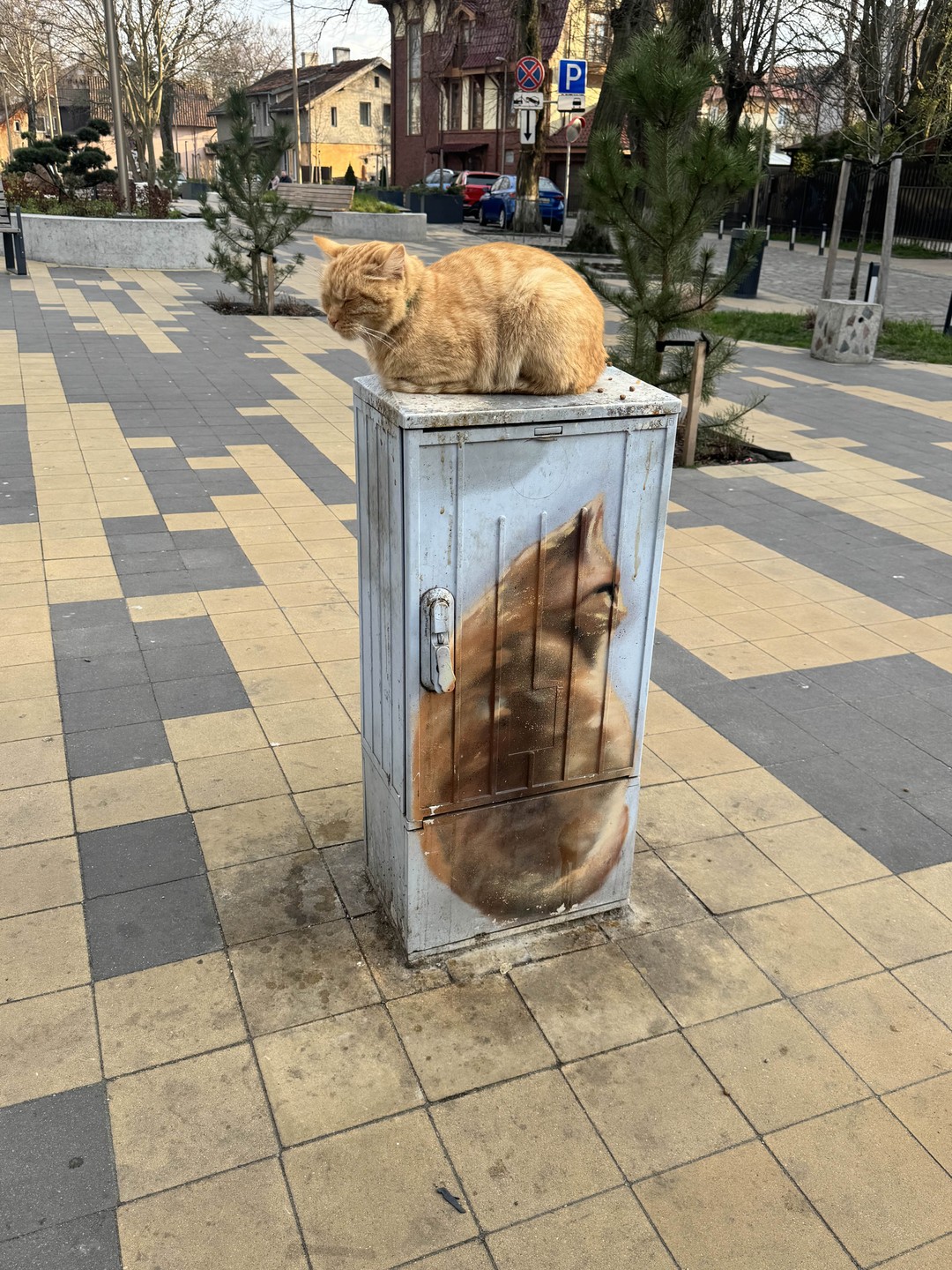 Наша семья очень благодарна за экскурсию Андрею! Комфортно, спокойно, с юмором мы объехали большую часть области 🙌🏼