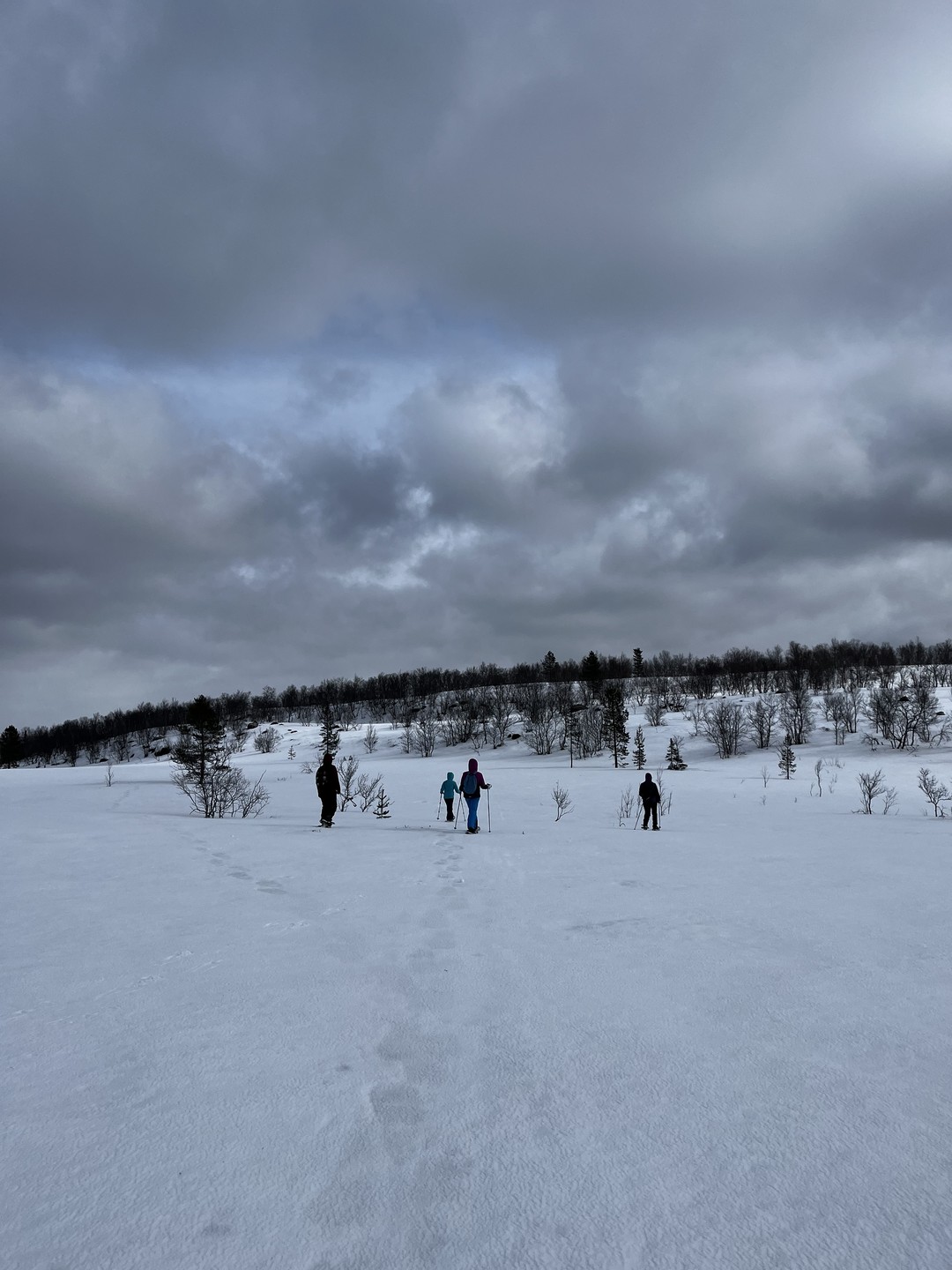 Из Мурманска - по следам снежного человека на снегоступах (Сабрина)