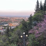Алёна